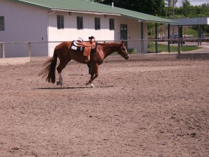 6-7-15 B&T, Fairgrounds 021