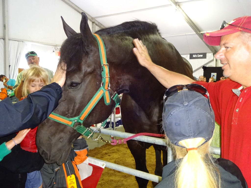 A personable persheron named Murphy soaked up attention at the new Equine Avenue.