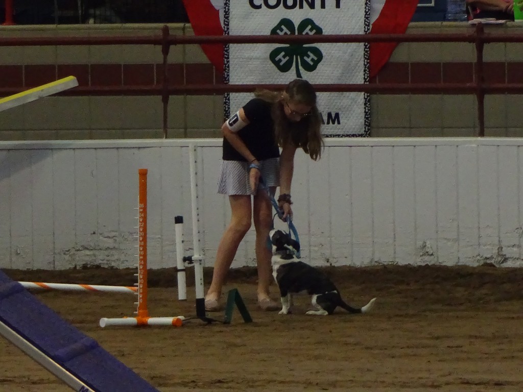 4H KID WITH DOG 15