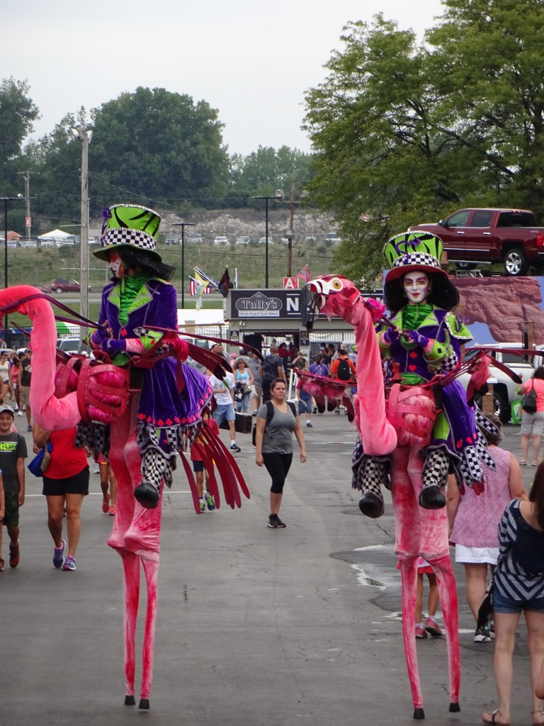 Flamingo stilt riders draw startled looks and photo flashes wherever they're seen. 