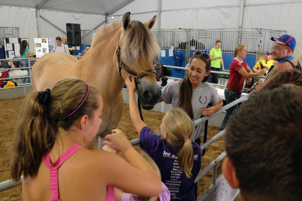 PETTING AT EA 15