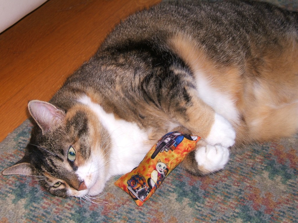 Baillee never attended the New York State Fair, but she enjoyed playing with toys purchased there.  