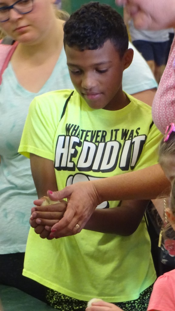 Many of the favorite once-a-year experiences at the New York State Fair involve animals. Patting a cow, riding a pony, petting a sheep, feeding a duck or cradling baby chick in your hands--as this boy is doing--are wondrous moments for many kids. It's a great chance for families to put down the smart phone and participate in a real life moment. 