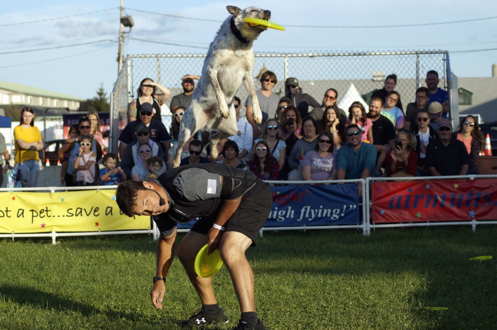 The homeless-to-high-flying pooches of Canines in Flight put on a great show daily at 1:30, 4:30 and 6:03 in the Family Fun Zone, just past the Expo Center. The rescue dogs track down Frisbees and splash into a pool for about 30 minutes every show. Photo and petting  opportunities abound, so it's a must-see for dog lovers. 
