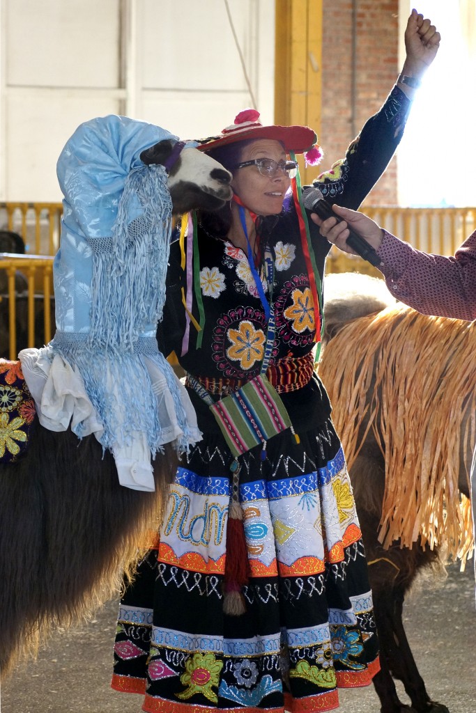 Animals in costumes? The Fair's got it.