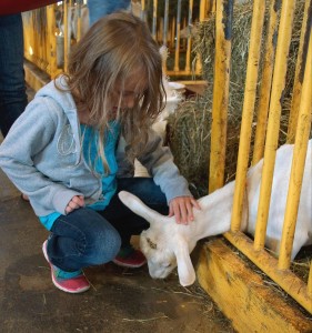 GIRL PETS GOAT