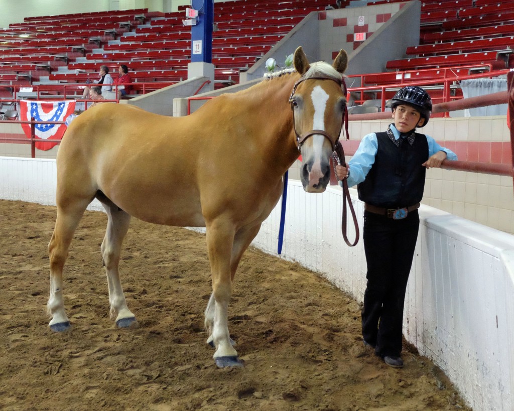 Hardworking kids show their animals at the New York State Fair.