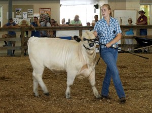 BEEFER SHOW 16