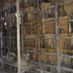 INSIDE LONGHOUSE