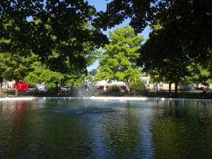 POND MORNING